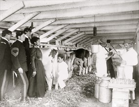 Demonstration of milk testing in stable, at Hampton Institute, Hampton, Virginia