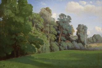 Study of Trees at Mortefontaine