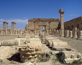 Palmyra. Ruins.