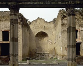 Ruins of Palaestra.