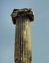 Capital with voluta and column.