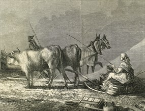 Agriculture. Threshing. Engraving by R. Milliet. 19th century.