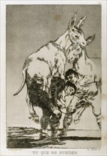 Francisco Goya (1746-1828). Caprices. Plaque 42. Thou who cannot. Prado Museum. Madrid. Spain.