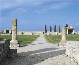 Ruins of the Roman Forum.