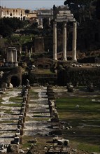 Roman Forum.