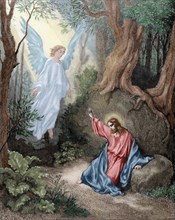 Jesus on the Mount of Olives. Engraving. Colored.