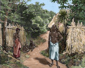 Africa. Dahomey. A street of Porto-Novo. Official residence of the French governor. Engraving. Colored.
