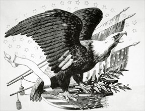 Bald eagle and other patriotic symbols of the American Revolutionary War.