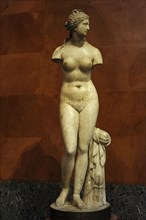Aphrodite (Venus of Taurida).