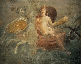 Marine centaur with the shield of Achilles and Tethys.