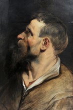 Study of a Man in Profile.