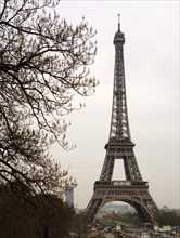 Eiffel Tower by Gustave Eiffel.
