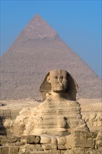 Spinx of Giza.