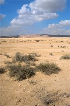 Desert landscape between Suez and Cairo.