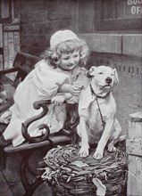 little girl gives the domestic dog a biscuit