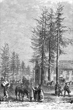 Polling station at Lac Lake Donner in California