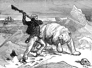 Man is fighting against a polar bear  /  Mann kämpft gegen einen Eisbären