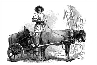 a man selling water in the region of Wallachia or Walachia