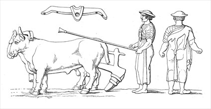 Roman plough with oxen and farmer  /  Römischer Pflug mit Ochsen und Bauer