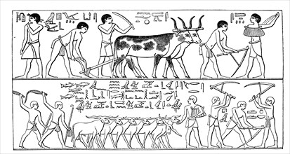 Cultural history of ancient Egypt