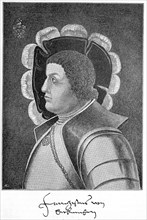Franz von Sickingen or Francis of Sickingen