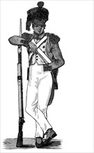 Soldier of the French line under Napoleon