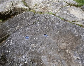 "Labyrinth of Mogor", Petroglyphs of Mogor carving on the rock,