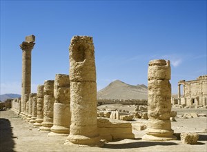 Oasis of Tadmor, Syria, Palmyra,