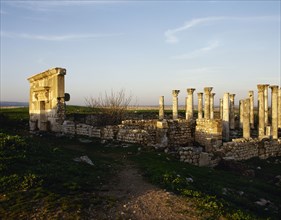 Roman city that became part of the Roman Empire from 64 B, Syria, Apamea,