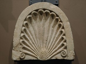 Capital in a shape of shell