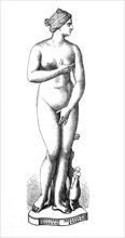 Capitoline Venus is a type of statue of Venus