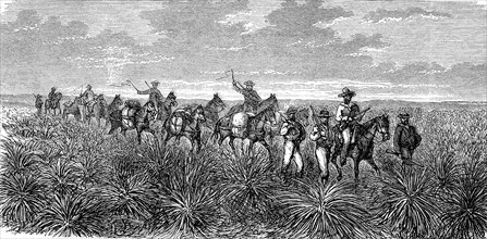 Patrol of the English in Central Australia