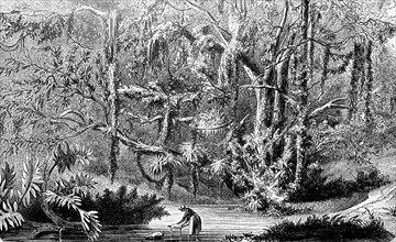 Fishermen in the jungle of Brazil in 1880  /  Fischer im Urwald von Brasilien im Jahre 1880