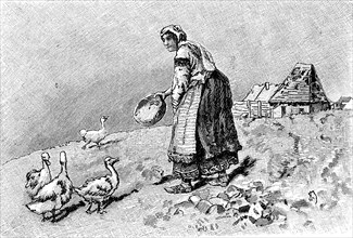 Peasant woman in Bulgaria feeds the geese