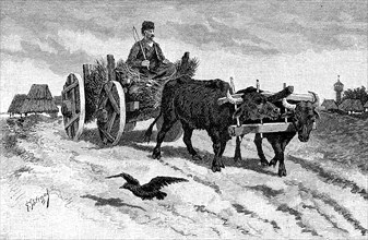 Ox cart of a farmer from Bulgaria in 1880  /  Ochsengespann eines Bauers aus Bulgarien im Jahre 1880