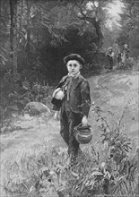 Boy collecting strawberries in the forest  /  Junge beim Erdbeeren sammeln im Wald