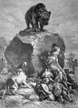 Bear was placed by the pack of hunting dogs and stands on a boulder