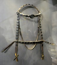 Bridle for horses