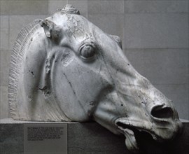 Head of a horse from the chariot of Selene