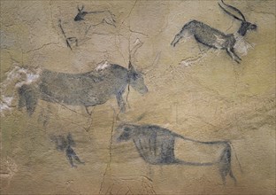 Detail of the cave paintings. Caves of El Cogul