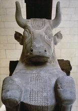 Bull capital of a column from audience hall, Palace of Darius I