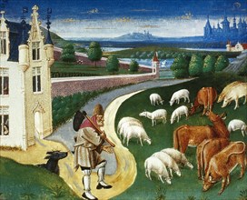 Shepherd leading his flock.