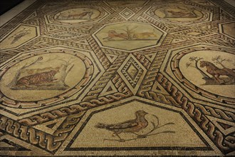 Floor mosaic from a Roman house in Trier.