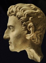 Bust of Roman emperor Nerva.