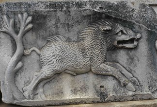 Roman fragment of a relief with depiction of a wild boar.
