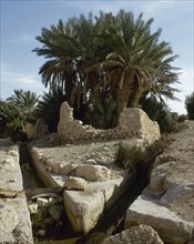 The Oasis of Palmyra.