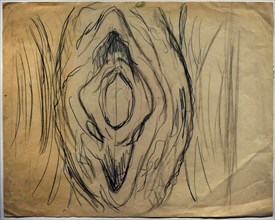Sketch of a Vulva