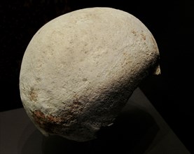 Skull of Homo sapiens impregnated with ocher