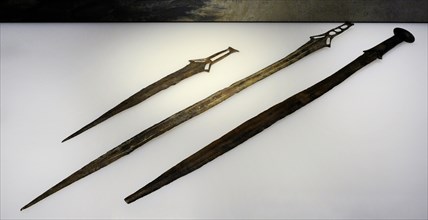 Bronze swords topped in carp tongue