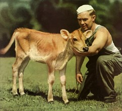 Man Tending a Calf